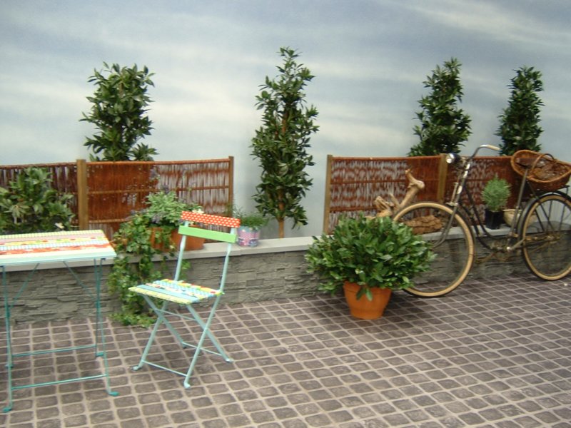 dscf0728.jpg