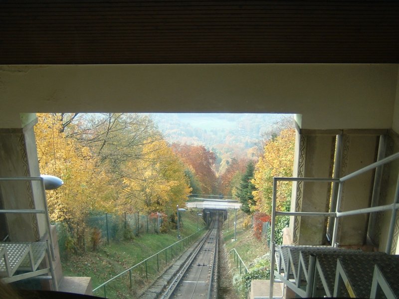 dscf0741.jpg