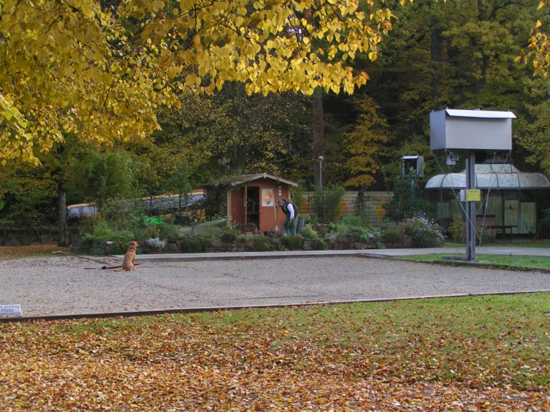 pict2024.jpg