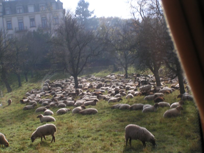 pict2043.jpg