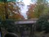pict2060_small.jpg
