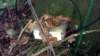 imag4782_small.jpg