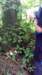 imag4783_small.jpg