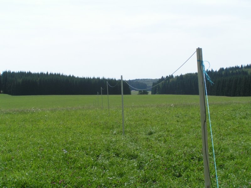 pict1785.jpg