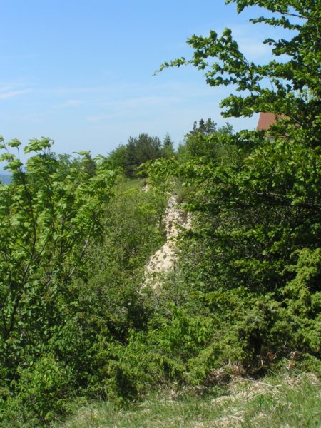pict0191.jpg