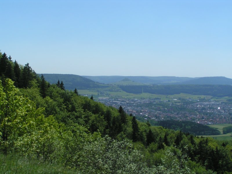 pict0206.jpg