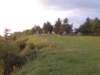 photo15_small.jpg