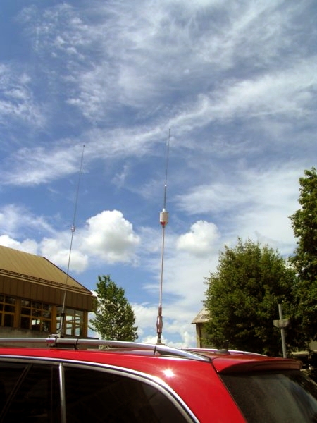 pict8891.jpg