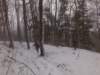 photo12_small.jpg