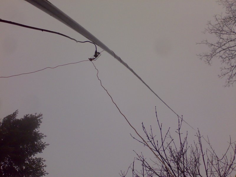 photo16.jpg