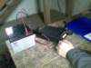 photo17_small.jpg