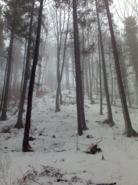 photo9.jpg