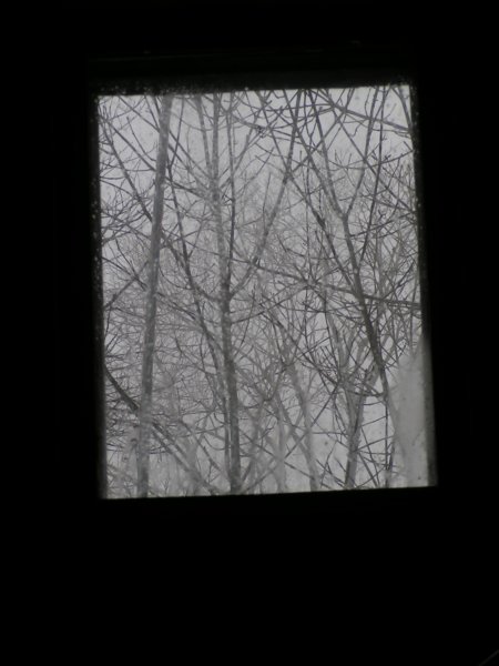 pict2426.jpg