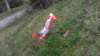 imag2407_small.jpg