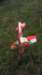imag2408_small.jpg