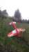 imag2410_small.jpg